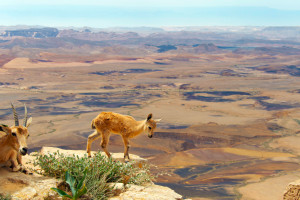 女选手视角看电竞：硝烟散尽，她们的坚持你可见