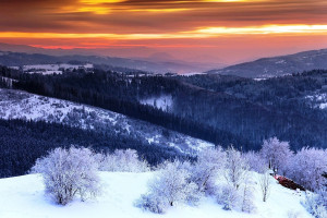 科技赋能足球，2026世界杯的比赛将更加精彩！