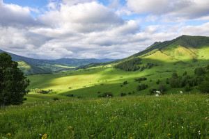 热议！电竞训练营纪录片，引发关于年轻一代的热烈讨论